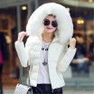 Womens Fur Collar Cotton Jacket Thick Down Jacket Cotton Fashion Hooded Coat