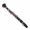 Clarinet Bakelite 17 Key B Flat Soprano Nickel Plating Exquisite with Cleaning Cloth Gloves 10 Reeds Screwdriver Woodwind Instrum