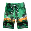 2018 Hot Summer Mens Board Shorts Fashion Printed Beach Shorts Men