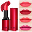 Lipstick lasting moisturizing non-marking non-stick cup lipstick nude color waterproof lip glaze student sample non-Korean