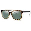 BOLON Tyrannosaurus sunglasses male BL6010C20 fashion sunglasses high-definition polarized driving mirror sunglasses sunglasses