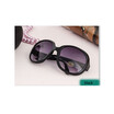 A29-3113 Hilton big frame sunglasses