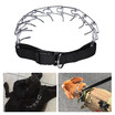 Dog Prong Collar Pets Training Pinch Stainless Steel Gear with Adjustable Length Releasable Snap Buckle Updated Blunt-cut Tip for