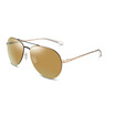 BOLON Tyrannosaurus sunglasses men&women BL2560M21 light texture couple models yurt driver driver polarized sunglasses sunglasses