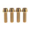 M6x20mm Titanio Ti hexagonal Allen Tornillo de freno cónico Tornillo de bicicleta Acabado 5 colores 4 unids lote