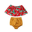 2PCS Newborn Baby Girl Kid Clothes Off Shoulder Top T-ShirtShorts Pants Outfits