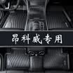 Brick uncle has a new youth car mats auto supplies full TPE environmental car mats adapted to 15 models -18 Buick - Angkewei
