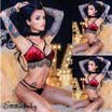 Womens Lingerie Lace Bra Sets Bra And Panty Set Underwear Sleepwear Plus Size