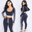 2PCS Women Hoodies Hooded Crop Tops Sweatshirt Track Pants Sport Suit Tracksuit