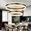 Baycheer HL487581 Personality 2 Rings Brushed Aluminum Circular LED Chandelier in Brown Warm Light