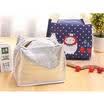 Childrens Kids Lunch Bags Insulated Cool Bag Picnic Bag School Lunchbox