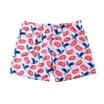 Mens Quick Dry Swimming Shorts New Printed Lined Beach Summer Swimwear