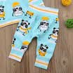 2PCS Newborn Toddler Baby Boys Girls Panda Hooded TopsPants Kid Clothes Outfits