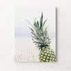 UK Black &White Pineapple Abstract Art on Canvas Painting Wall Art Picture Print
