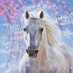 AU DIY 5D Diamond Painting Horse Pony Cross Stitch Home Decor Craft Wall Decor