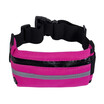 Waist Bum Bag Sports Fanny Pack Belt Money For Running Jogging Cycling Phones