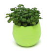 Mini Colourful Round Plastic Plant Flower Pot Garden Home Office Decor Planter