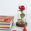 Enchanted Rose Flower Lamp Best Valentines Gift Beauty&The Best Beauty