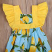 Summer Toddler Baby Kids Girls Princess Floral Lemon Dress Sundress Clothes 0-4Y