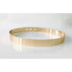 Women Adjustable Metal Waist Belt Metallic Bling Gold Plate slim Simple Belt
