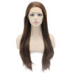 Iwona Synthetic Hair Lace Front Long Stright Brown Mix Wig