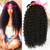 Brazilian Curly Virgin Hair 4 Bundles 78A Curly Crochet Hair Brazilian Curly Hair Weave Bundles Cheap Kinky Curly Virgin Hair