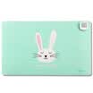 Guangbo Standard Edition heating warm hand pad pad cartoon type writing pad happy rabbit NC2887