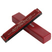 Swan SWAN 24 hole polyphonic teaching harmonica C tone phonetic note wine red