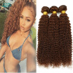 Angie Queen Hair Company Malaysian Virgin Hair Deep Curly Colored 2 4 8inch-26inch Malaysian Kinky Curly Virgin Hair 3Bundles