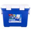 Alice IRIS car incubator car refrigerator CL-32 32 liter outdoor picnic travel refrigerator cold&cold chain cold storage box blue ice bag