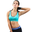 Antarctic human brains no trace to gather the word back sports bra blue S recommended 70A-75D