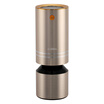 AODMA FA-808A car air purifier local gold