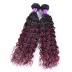 2 Bundles Lot Ombre Brazilian Kinky Curly Virgin Hair Brazilian Blonde Curly Hair Extensions Black And Burgundy Human Hair Weave