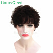 Cheap Short Tight Afro Curly Wig Brazilian Afro Kinky Curly Hair Wig Glueless Full Lace Human Hair Wigs for Black Women