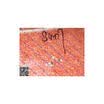Free shipping 5PCS SI8409 in stock