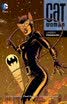 Catwoman Vol 3 Under Pressure