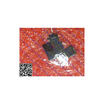 Free shipping 10PCS ISL6269CRZ R5538 BPBTI