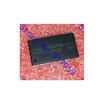 Free shipping 10PCS IS61WV51216BLL-10TLI in stock