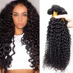 Malaysian Kinky Curly Virgin Hair Cheap Human Hair 4 Bundles 100G Bundles Malaysian Curly Hair Weave Bundles Afro Curly Hair