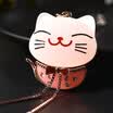 Mohua Luode car pendant decoration into&out of the car the car decoration the car the car the fish the fish QZY001
