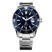 Seagull SEAGULL Seagull SeaGull New Diving Watch Ocean Star Luminous Pointer Scale 816523 Black Plate