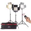 Rima EIRMAI YB-F650 SLR LED photography video light pink studio micro film always lights outside soft light dual color temperature adjustable