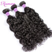 Brazilian Virgin Hair Water Wave 3 Bundles 7A Unprocessed Human Hair Virgin Brazilian Hair Natural Wave Wet And Wavy