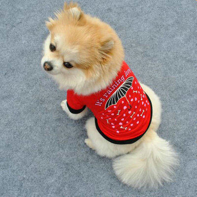 Pet Vest Dog Puppy Umbrella Pattern Tee Shirt Clothes Small Pet Cat Coats T-shirt Apparel
Pet Vest Dog Puppy Umbrella Pattern Tee Shirt Clothes Small Pet Cat Coats T-shirt Apparel