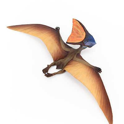YIWULAEducational Simulated Tapejara Dinosaur Model Kids Children Toy Gift Science 
YIWULAEducational Simulated Tapejara Dinosaur Model Kids Children Toy Gift Science