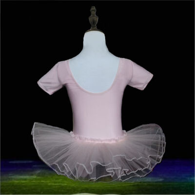 Childrens Dance Ballet Dress Short-Sleeved One-Piece Practice Show Clothes Small Swan Dancewear
Childrens Dance Ballet Dress Short-Sleeved One-Piece Practice Show Clothes Small Swan Dancewear