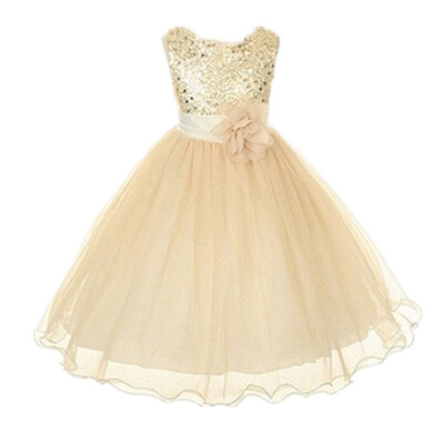 Baby girls clothing Wedding Party Dress Sleeveless Newborn children Princess Dress
Baby girls clothing Wedding Party Dress Sleeveless Newborn children Princess Dress