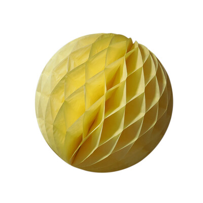 Honeycomb Ball Paper Flower Ball Hanging Garland Decoration for Birthday Party Bridal Wedding Baby Shower
Honeycomb Ball Paper Flower Ball Hanging Garland Decoration for Birthday Party Bridal Wedding Baby Shower