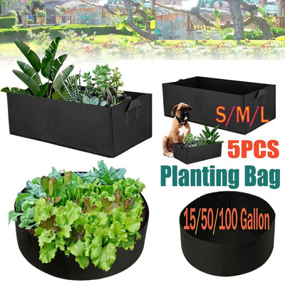 15PCS RectangularRound Large Capacity Black Plants Growing Bag for Plants Flowers Vegetables Pots
15PCS RectangularRound Large Capacity Black Plants Growing Bag for Plants Flowers Vegetables Pots