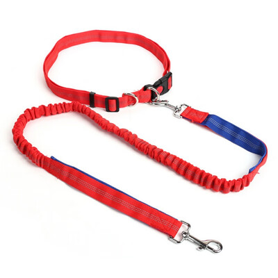 Pet Dog Running Retractable Leashes Hands Freely Great for Walking Dog Leash Rope Reflective Jogging Dog Collars Leash
Pet Dog Running Retractable Leashes Hands Freely Great for Walking Dog Leash Rope Reflective Jogging Dog Collars Leash
